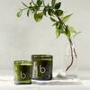 White Iris Scented Candle, , large, image4