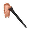 Brush 202 - Powder, , large, image4