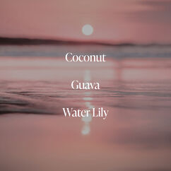 Coral Coast Vitamin C Oil-Infused Body Scrub, , large, image6