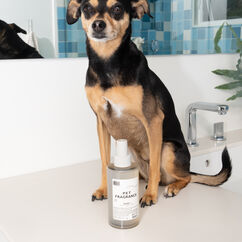 Pet Fragrance 01 "Taunt", , large, image5