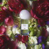 Venus of Verbena, , large, image3