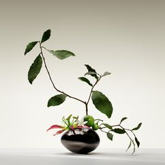 Th&eacute; Yulong Eau de Toilette, , large, image4