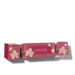 Vinosource Christmas Cracker, , large, image3