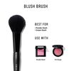 Blush Brush, , large, image2