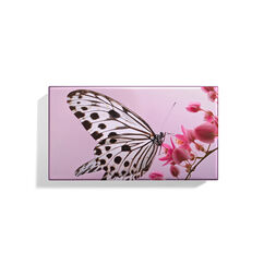 Nymph Eye Trio, , large, image5