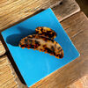 Toto Clip in Spiced Tortoiseshell, , large, image7