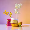 Body Crème - St Barts, , large, image4