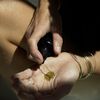 The Pendulum Potion, , large, image3