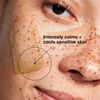 Phyto Corrective Masque, , large, image5