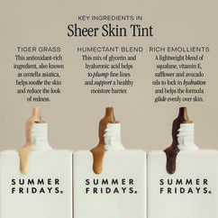 Sheer Skin Tint, SHADE 6, large, image7