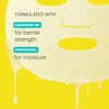 Ceramidin™ Facial Barrier Mask, , large, image5