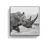 Luminescent Eye Shade, RHINOCEROS, large, image2