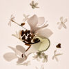 Missing Person Eau Ee Parfum, , large, image5