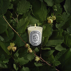 Noisetier Classic Candle 190g, , large, image3