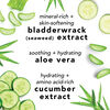 Spray pour le visage à l'aloès, au concombre et au thé vert, , large, image7