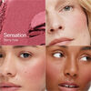 Soft Focus Blurring Blush, SENSATION, large, image3