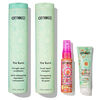 Mane menders strength wash set