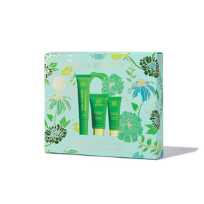 Brighten Up Essentials Kit