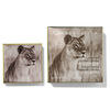 Lion Collection Luminescent Eye Shade, SELENKAY, large, image3
