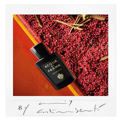 Signatures of the Sun Oud & Spice Eau de Parfum, , large, image4