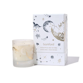 Eucalyptus & Fir Tree Candle