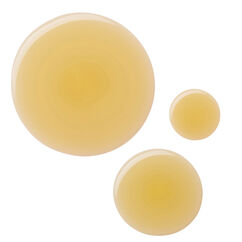 Vanilla Skin Body Oil, , large, image2