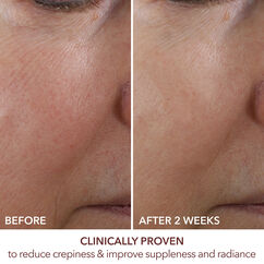 Advanced Retinol + Ferulic Overnight Wrinkle Treatment, , large, image6