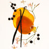 Mango Mood Body Mist, , large, image5