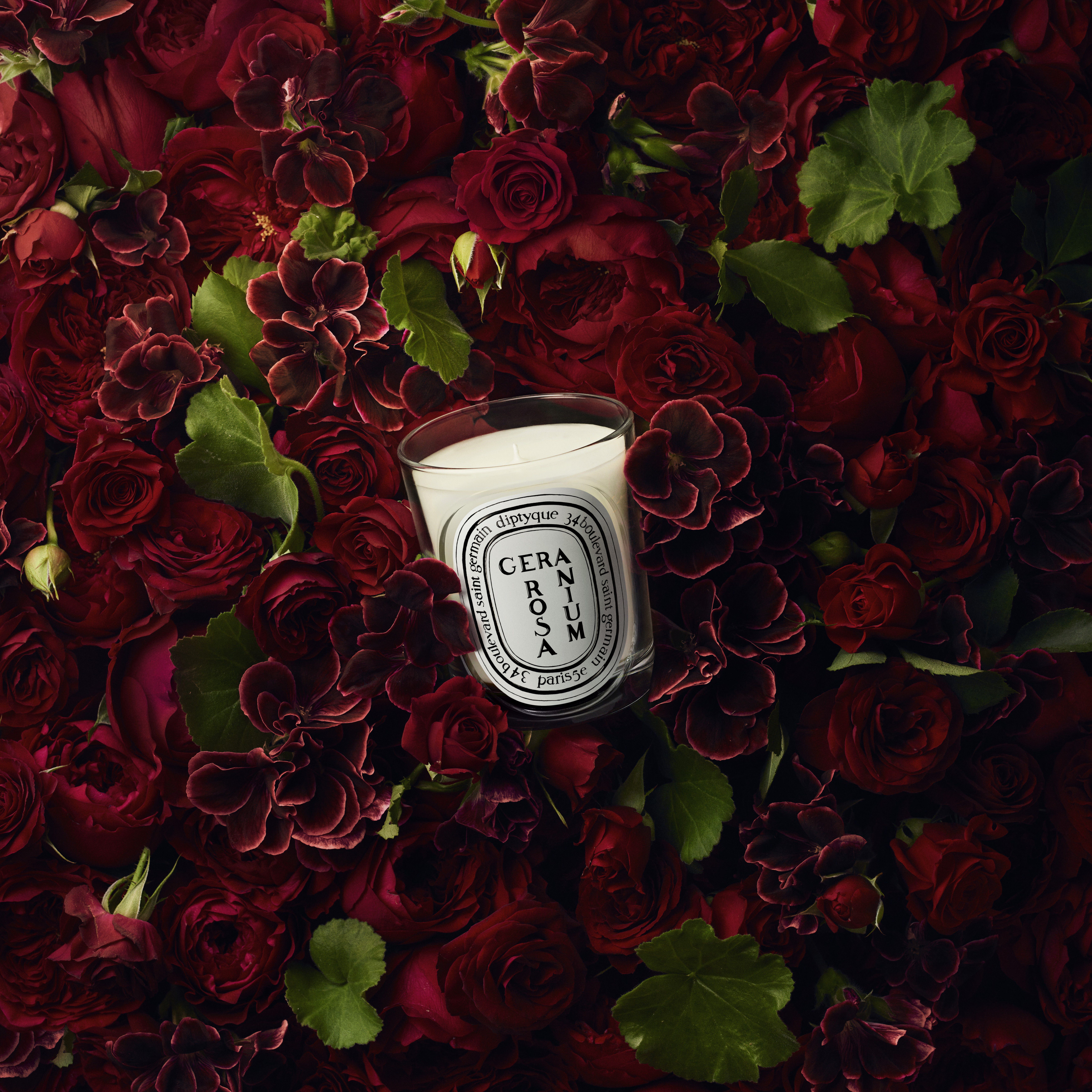 Diptyque Geranium Rosa Classic Candle 190g | Space NK