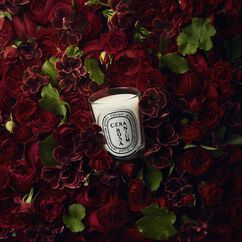 Geranium Rosa Classic Candle 190g, , large, image3