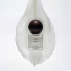 Discovery Kit, , large, image4