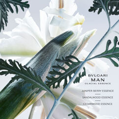 Bvlgari Man Glacial Essence Eau de Parfum, , large, image2