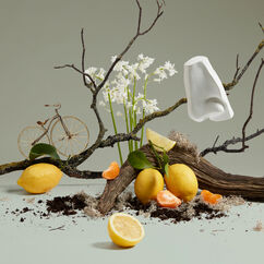 Quercus Eau de Cologne, , large, image4