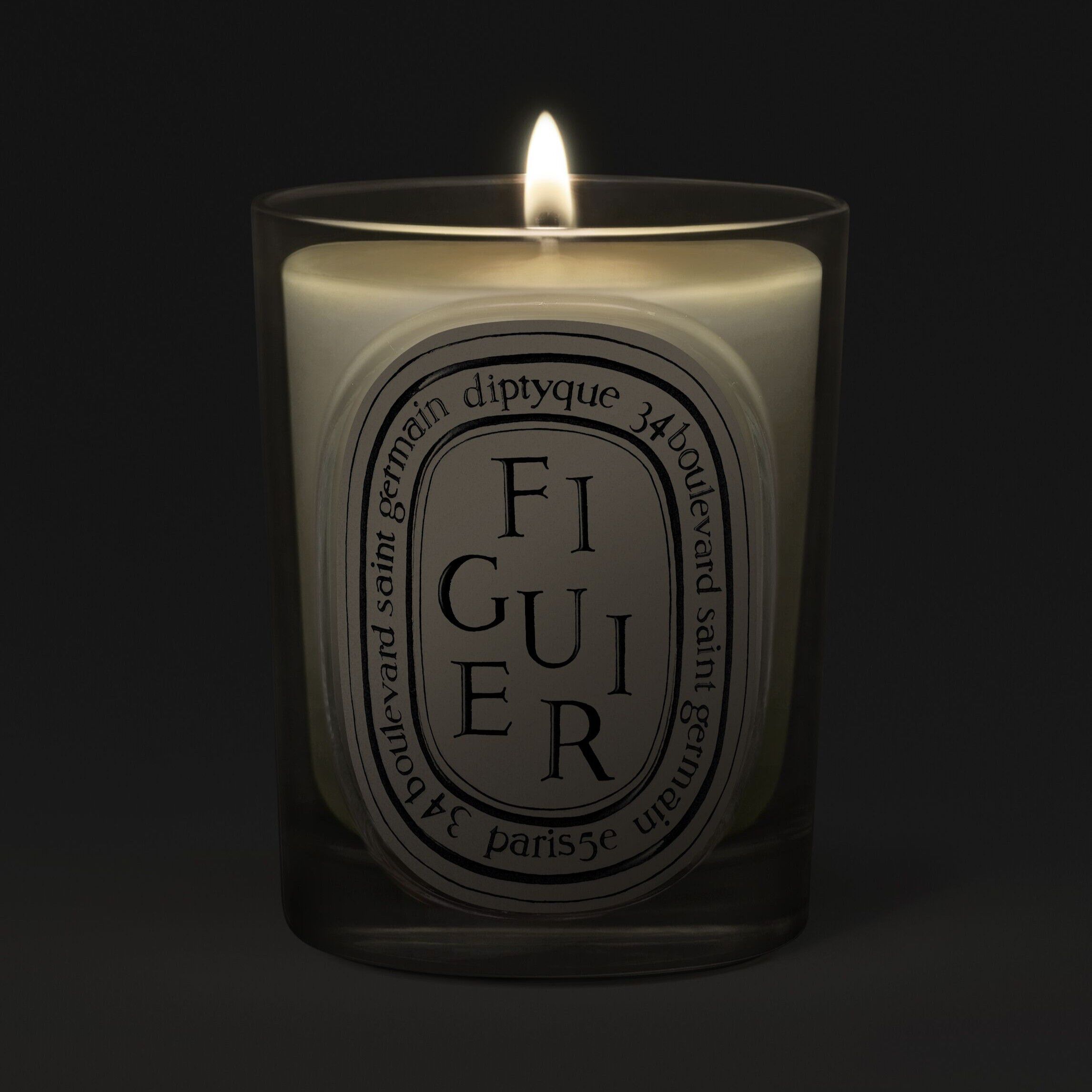 Diptyque Figuier Classic Candle 190g | Space NK