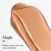 Future Skin Oil-Free Foundation, MAPLE, large, image4
