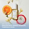 Season Greetings From St. Barts Holiday Kit 2025, , large, image7