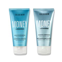 Money Laundering Travel Duo, , large, image2