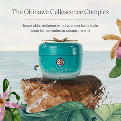 The Longevity Memory Cream, , large, image5