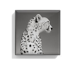 Luminescent Eye Shade, CHEETAH, large, image2