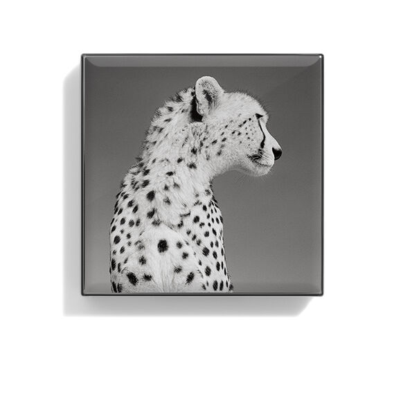 Luminescent Eye Shade, CHEETAH, large, image2