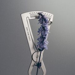 Iris Debonair Eau de Parfum, , large, image5