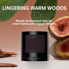 Woodphoria Standard Candle, , large, image6