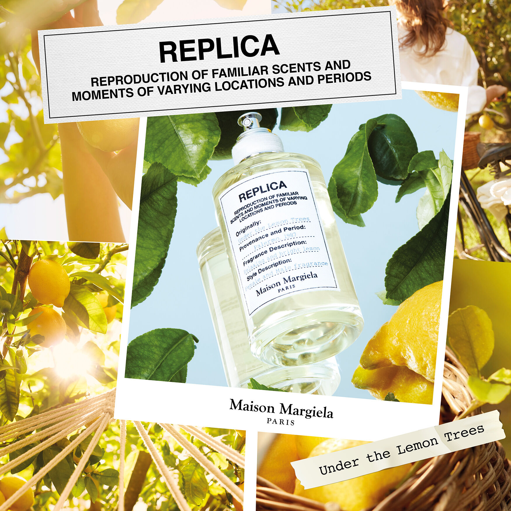 Maison margiela lemon tree shop