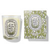 Citronnelle Scented Candle, , large, image2