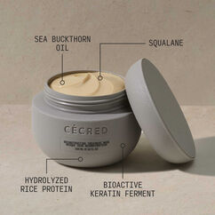 Reconstructing Treatment Mask, , large, image7