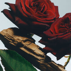 Velvet Rose & Oud Cologne, , large, image3