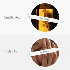 Functional Fragrance, , large, image6