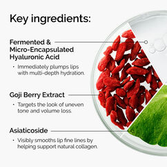 HA + Asiaticoside Lip Treatment, , large, image6