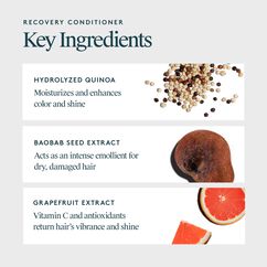 Recovery Conditioner, , large, image5