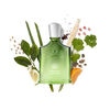 Original V&eacute;tiver Eau de Parfum, , large, image2